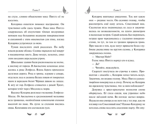 Книга Завеса Аркена (#1) (Фальк Хольцапфель) — 10