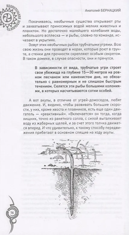 Книга Удивительные животные. От дельфинов до обезьян (Анатолий Бернацкий) — 11