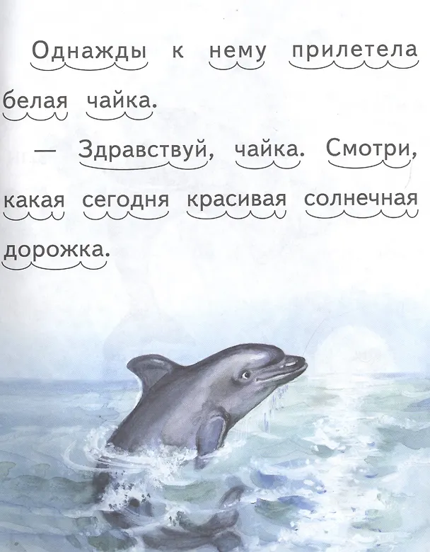 Книга Дельфиненок и чайка (Елена Ермолова) — 4