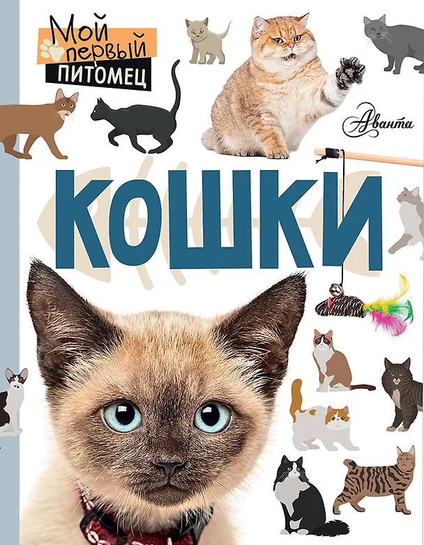 Книга Кошки (Мария Лагоша) — 1