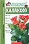 Каланхоэ (мягк)(Самые известные комнатные растения мира) (Аст) — 2147377 — 1