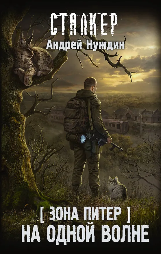 Книга Зона Питер. На одной волне (Андрей Нуждин) — 1