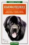 Ньюфаундленд: Кормление, стандарт породы, выбор щенка, собачья аптечка