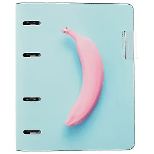 Тетрадь на кольцах в клетку InFolio, Fancy, 120 листов