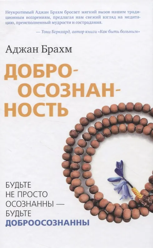 Книга Доброосознанность (Аджан Брахм) — 1