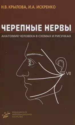 Черепные нервы. Анатомия человека в схемах и рисунках — 2831245 — 1