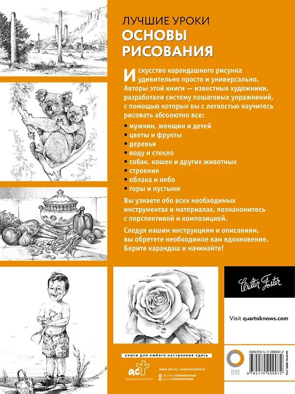 Книга Основы рисования (А. Степанова) — 2