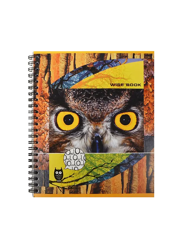 Тетрадь в клетку Полиграфика, Wise Eyes, 80 листов, в ассортименте 231730 — 1