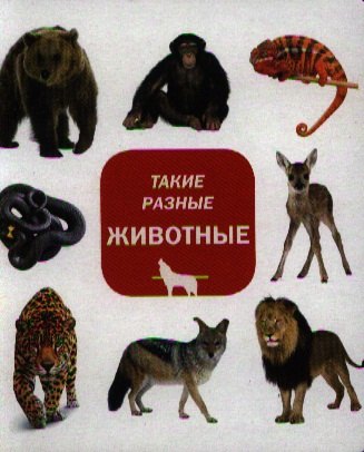 

Такие разные животные
