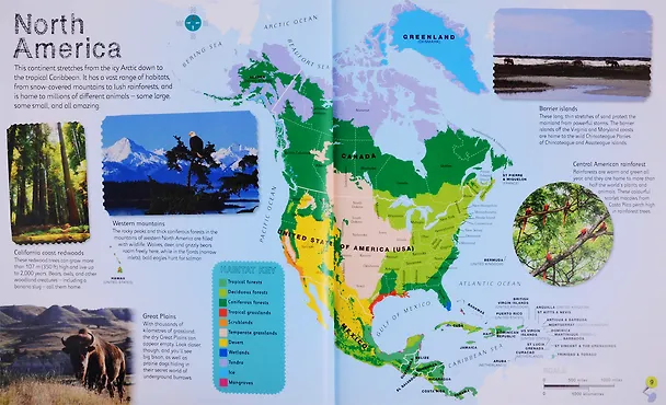Книга Children's Illustrated Animal Atlas () — 4