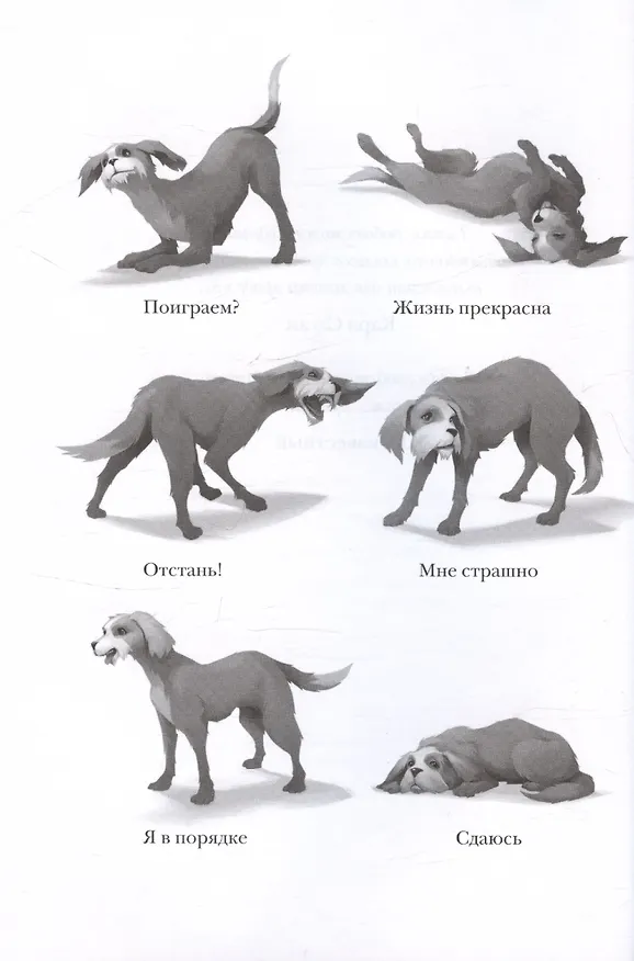 Книга Боб, единственный и неповторимый (Кэтрин Эпплгейт) — 3