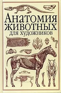 Анатомия животных для художников