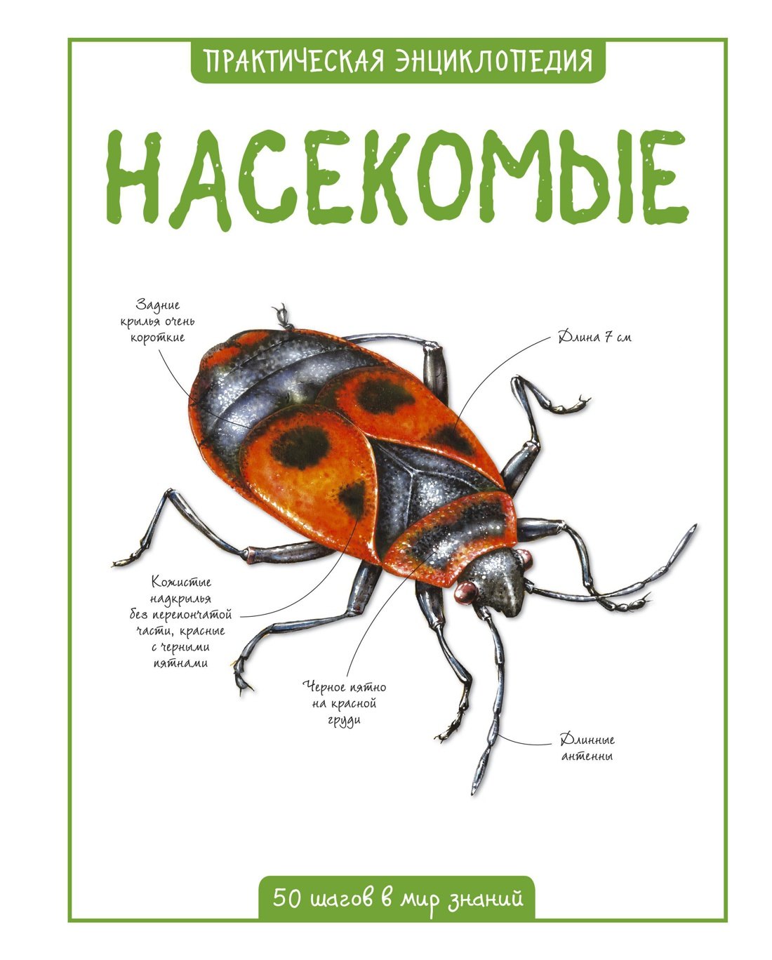 

Насекомые