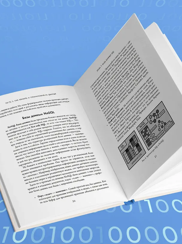 Книга Аналитика для руководителей. Стратегия и развитие бизнеса на базе данных, а не на интуиции (Николай Валиотти) — 9