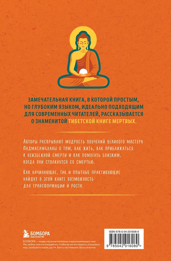 Книга Тибетская Книга мертвых для "чайников". Инструкция по жизни и смерти (Морди Левин, Ринпоче Лама Лхананг) — 2