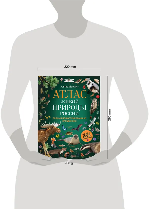Книга Атлас живой природы России. Полный иллюстрированный справочник (Алина Ярощук) — 6
