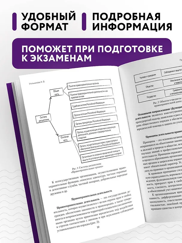Книга Правоохранительные органы в схемах и определениях. 3-е издание (Наталья Угольникова) — 6