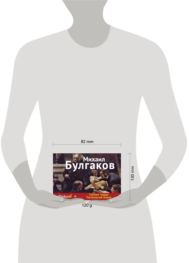 Книга Собачье сердце. Театральный роман (Михаил Булгаков) — 4