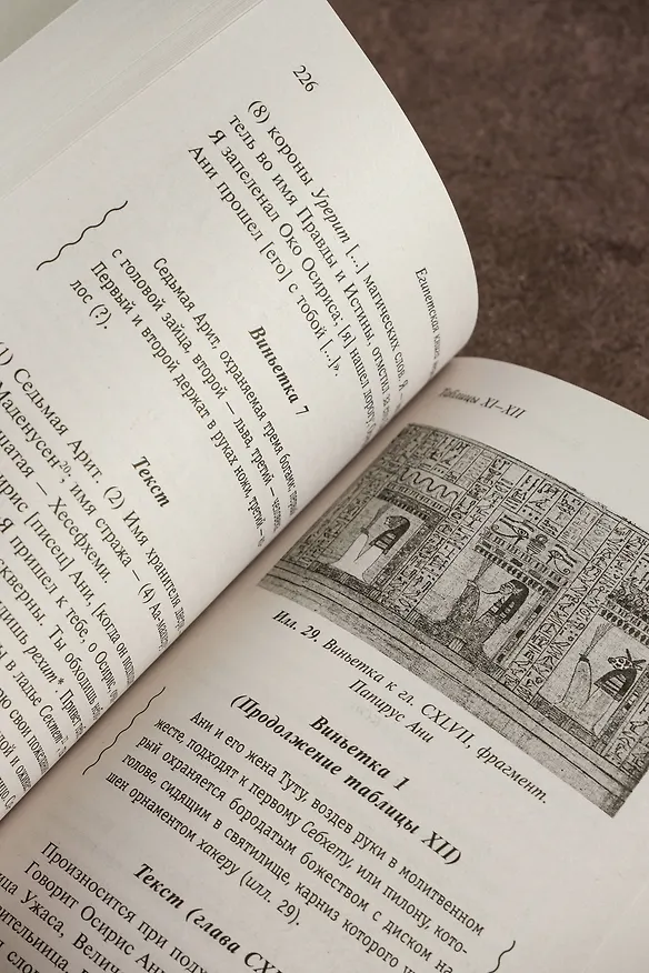 Книга Египетская книга мертвых (Эрнст Альфред Уоллис Бадж) — 11