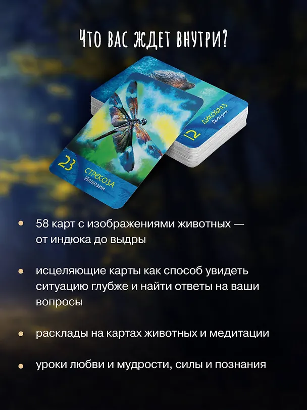 Книга Сила шамана: исцеляющие карты животных (Алла Хацкевич, Татьяна Якушева) — 6