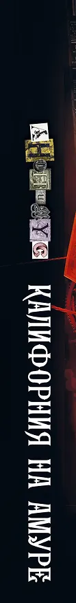Книга Калифорния на Амуре (Анонимус) — 3