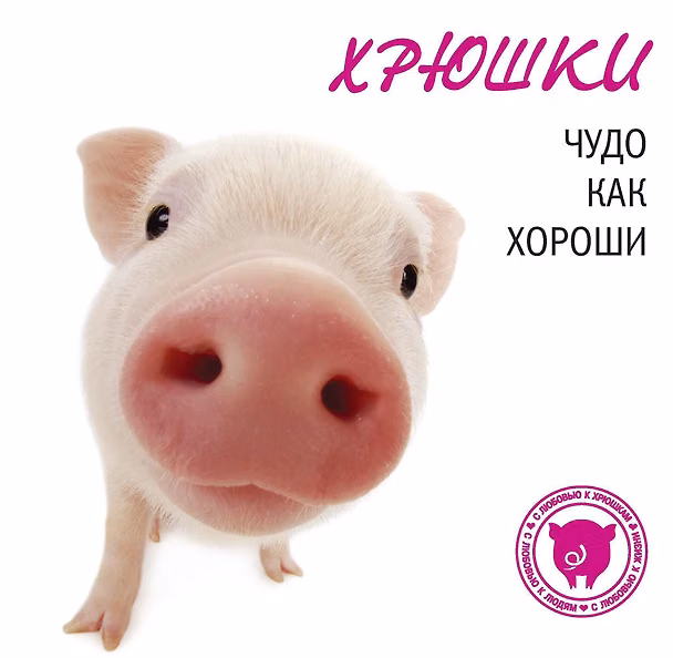 Книга Хрюшки. Чудо как хороши (Н.М. Галактионова) — 1