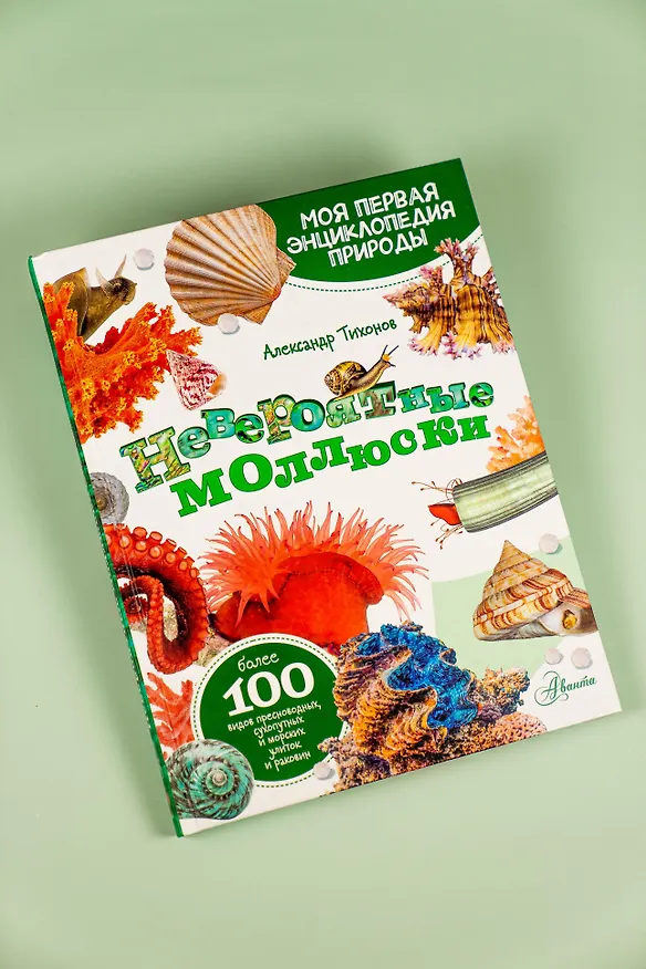 Книга Моллюски, кораллы, морские звезды, морские ежи (Александр Тихонов) — 7