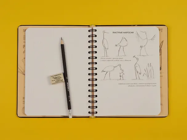 Книга «SketchBook: Визуальный экспресс-курс по рисованию», чёрный () — 6