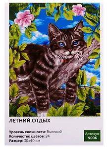 Картина по номерам N006 Летний отдых 30х40