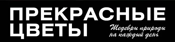 Книга Прекрасные цветы. Шедевры природы на каждый день () — 3