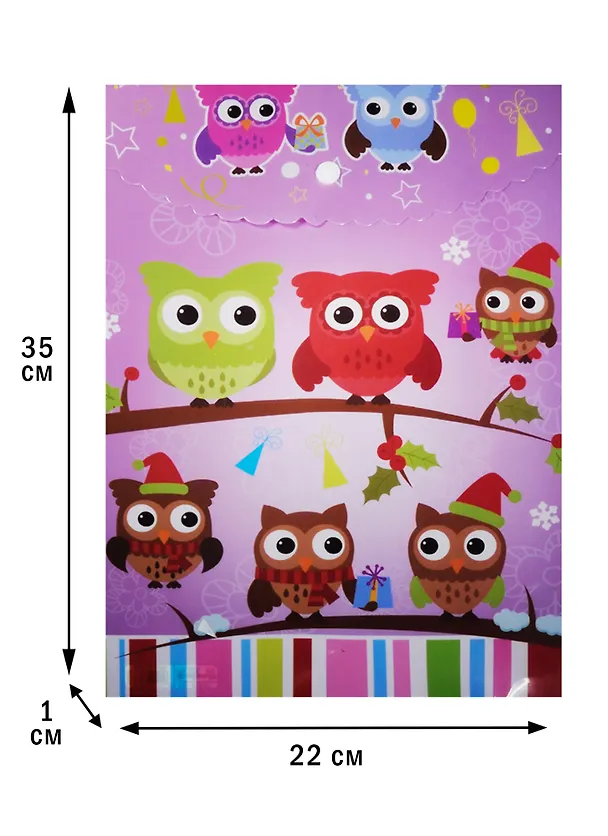 Папка -конверт «Совы. Owls» А4 на кнопке, вертикальная 242282 — 3
