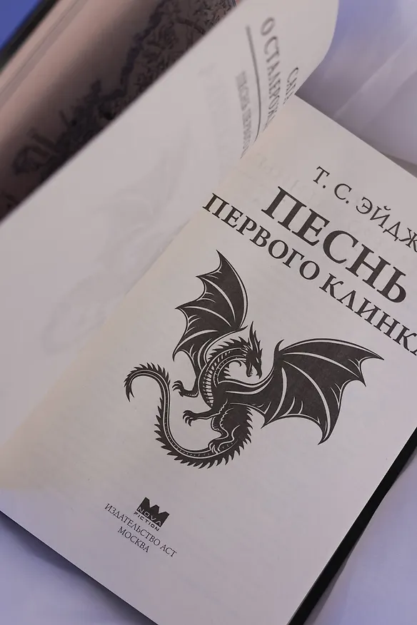 Книга Песнь Первого клинка (Т. С. Эйдж) — 13