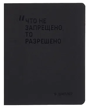 Тетрадь 48 листов в клетку "Что не запрещено, то разрешено", Schiller 3092620