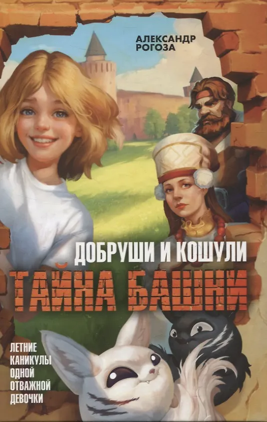 Книга Добруши и кошули. Тайна башни (Александр Рогоза) — 1