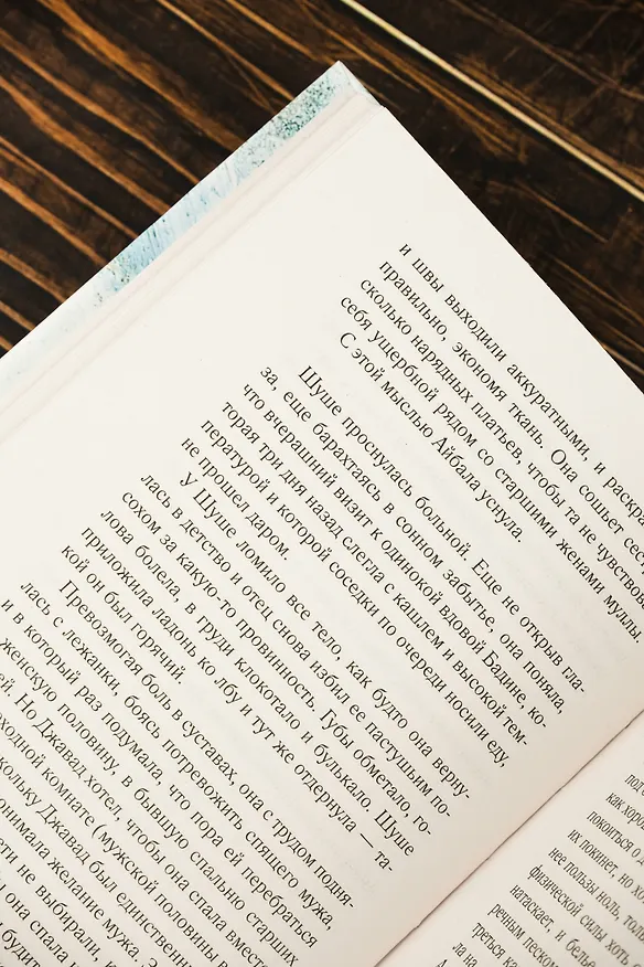 Книга Айбала. История повитухи (Наталья Елецкая) — 8