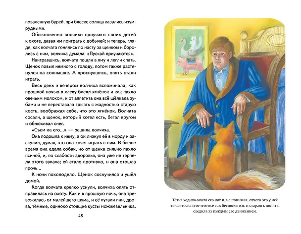 Книга Каштанка. Рассказы (Антон Чехов) — 13