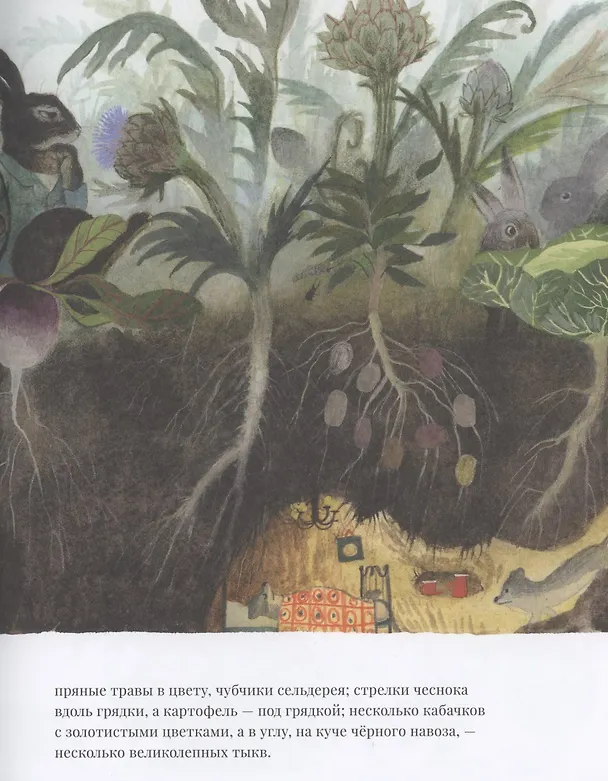 Книга Суп синьора Лепрона (Джованна Дзоболи) — 4