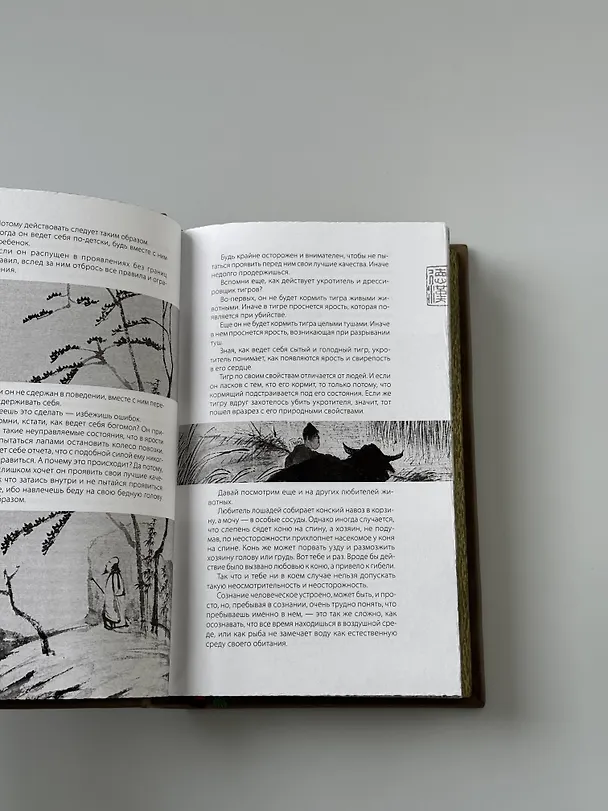 Книга Чжуан-цзы Бронислава Виногродского. Книга о знании и власти (Чжуан-цзы) — 21