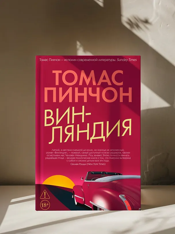 Книга Винляндия (Томас Пинчон) — 10