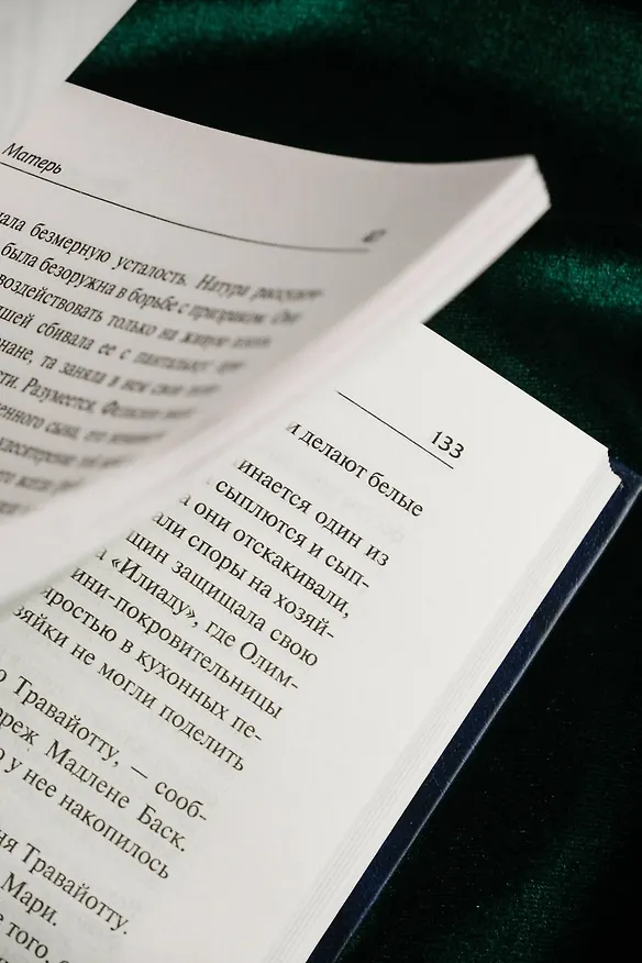 Книга Матерь. Пустыня любви (Франсуа Мориак) — 15