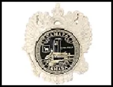 ГС магнит герб РФ пластик Самара Ладья 8*9 см 455896, шт 2322865