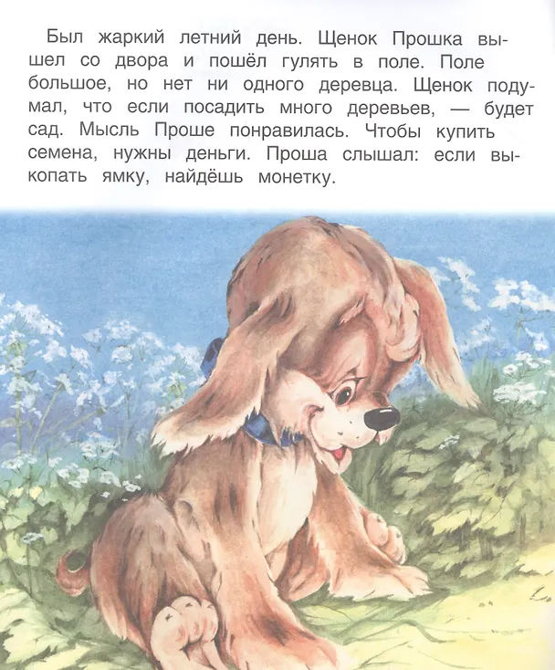 Книга Прошкин сад (В. Жиромская) — 2