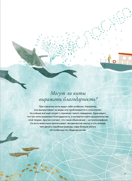 Книга Киты и мы (Индия Дежардан, Натали Дион) — 6