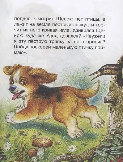 Книга Лис и Мышонок. Сказки (Виталий Бианки) — 14