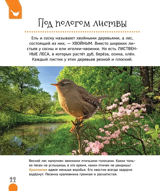 Книга Животные России (Светлана Гальцева) — 4