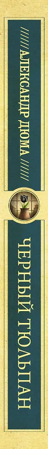 Книга Черный тюльпан (Александр Дюма (отец)) — 3