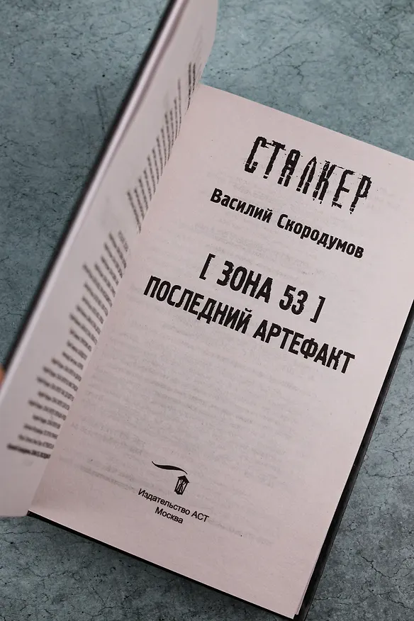 Книга Зона 53. Последний артефакт (Василий Скородумов) — 10