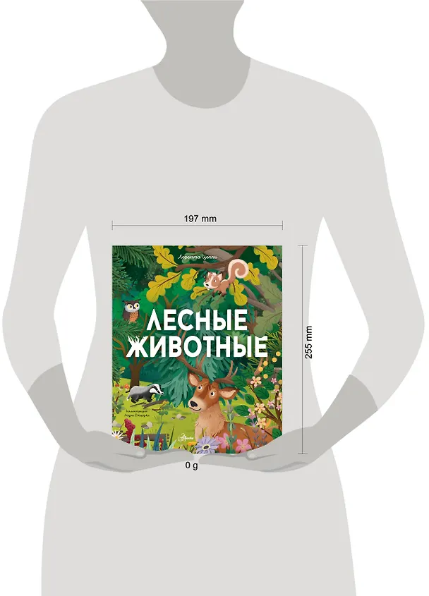 Книга Лесные животные (Лоретта Цоппи) — 6