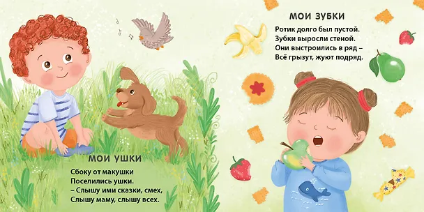 Книга Мое тело. Стихи для малышей (Евгений Сосновский) — 3