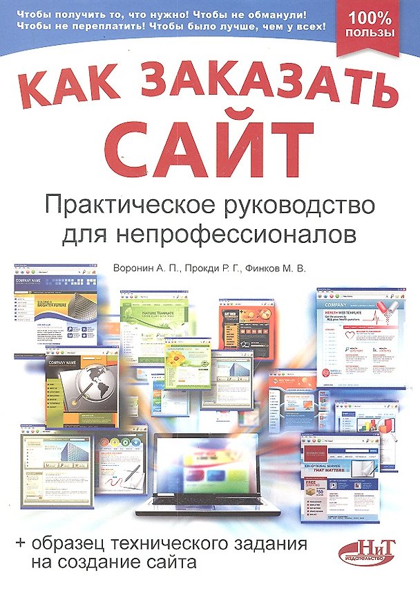 Книга Как заказать сайт. Практическое руководство для непрофессионалов (+образец технического задания на создание сайта) (А. Воронин) — 1